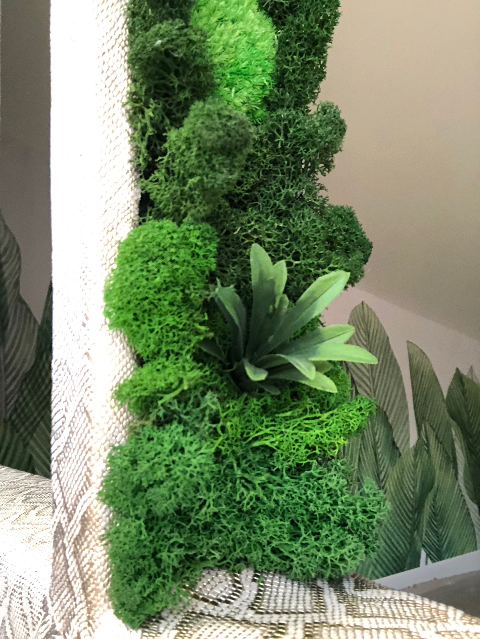 Plante si Licheni decorativi