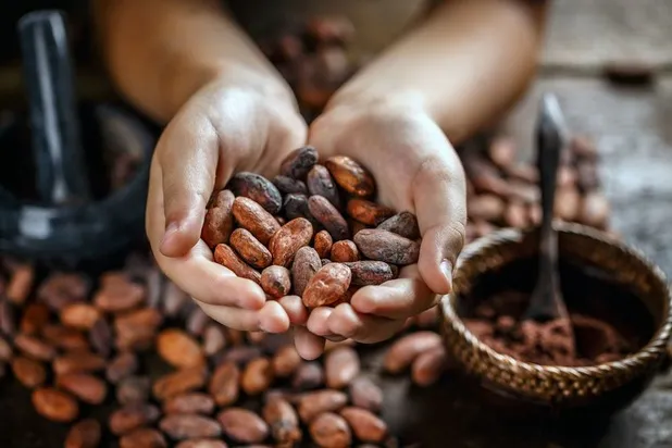 Journée de la femme et cérémonie du cacao sacré avec Martine