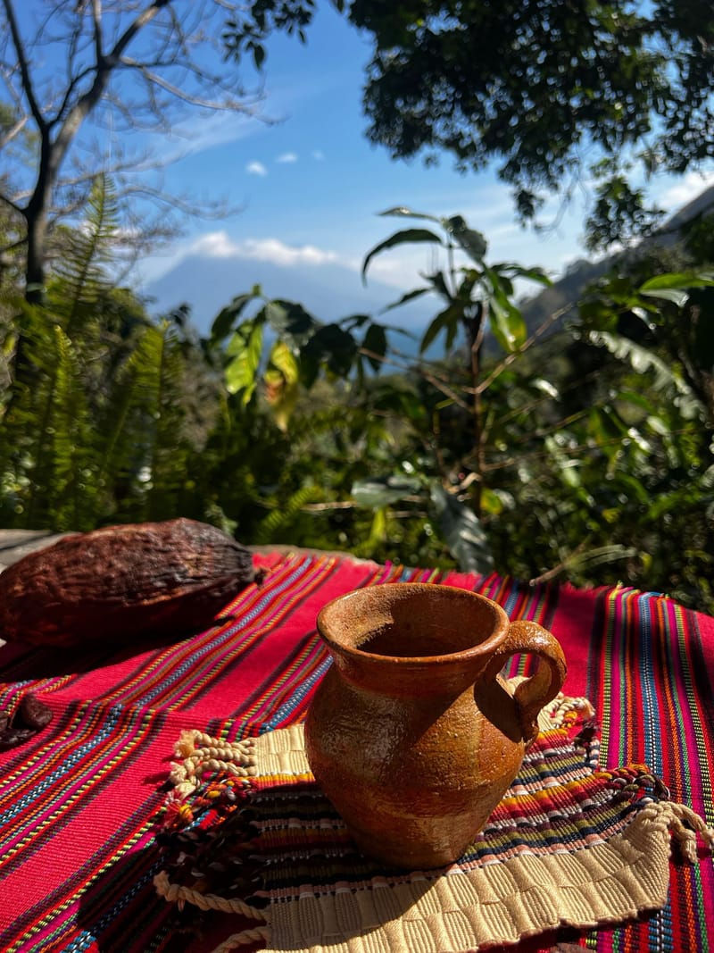 Atelier "Cacao&Gratitude"