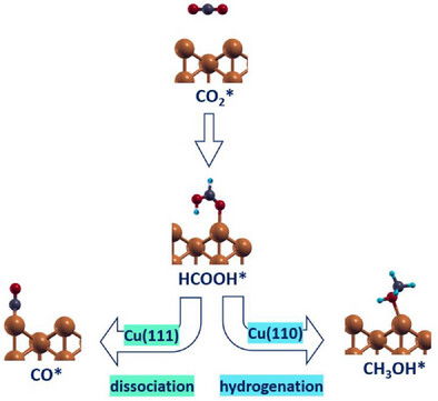 Mechanistic Insights into Structure-Driven Selectivity in CO2 Hydrogenation Over Cu-Based Catalysts