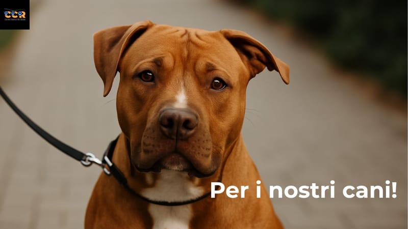 🐾 Petizione per una Legge sul Patentino Etica, Equa e Tecnicamente SostenibileAi Presidenti della Camera dei Deputati e del Senato della Repubblica