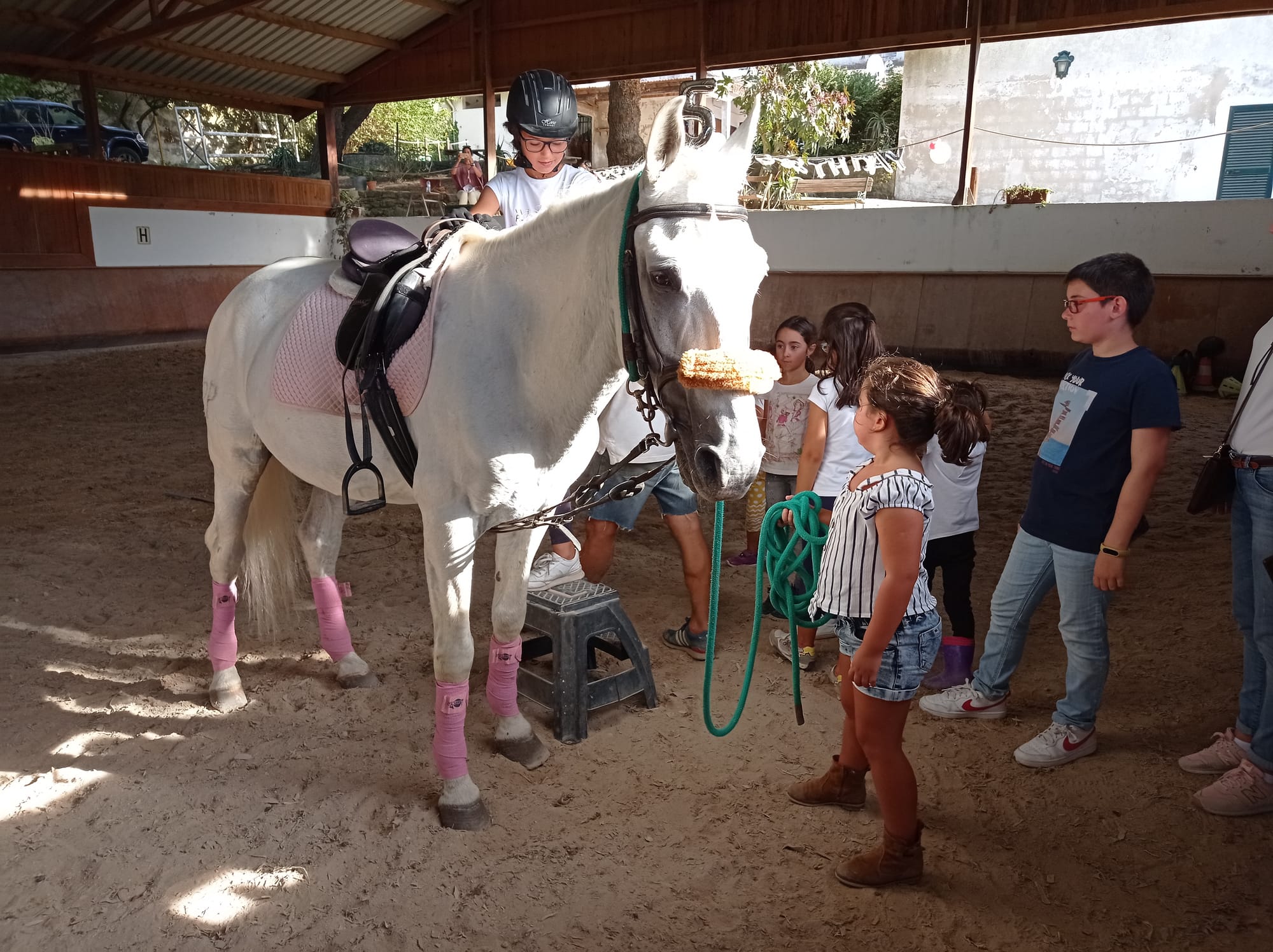 First Horse riding experience