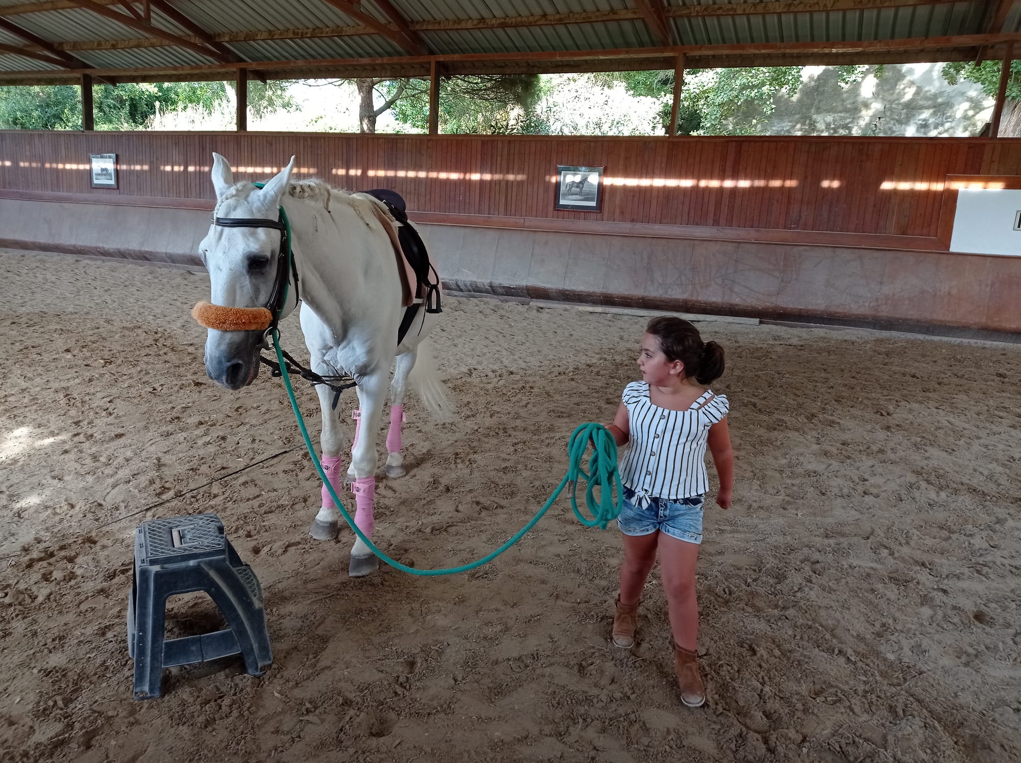 First Horse riding experience
