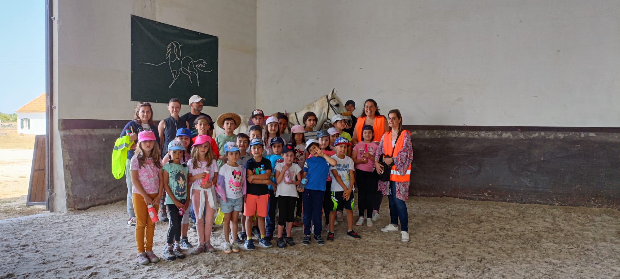 First Horse riding experience