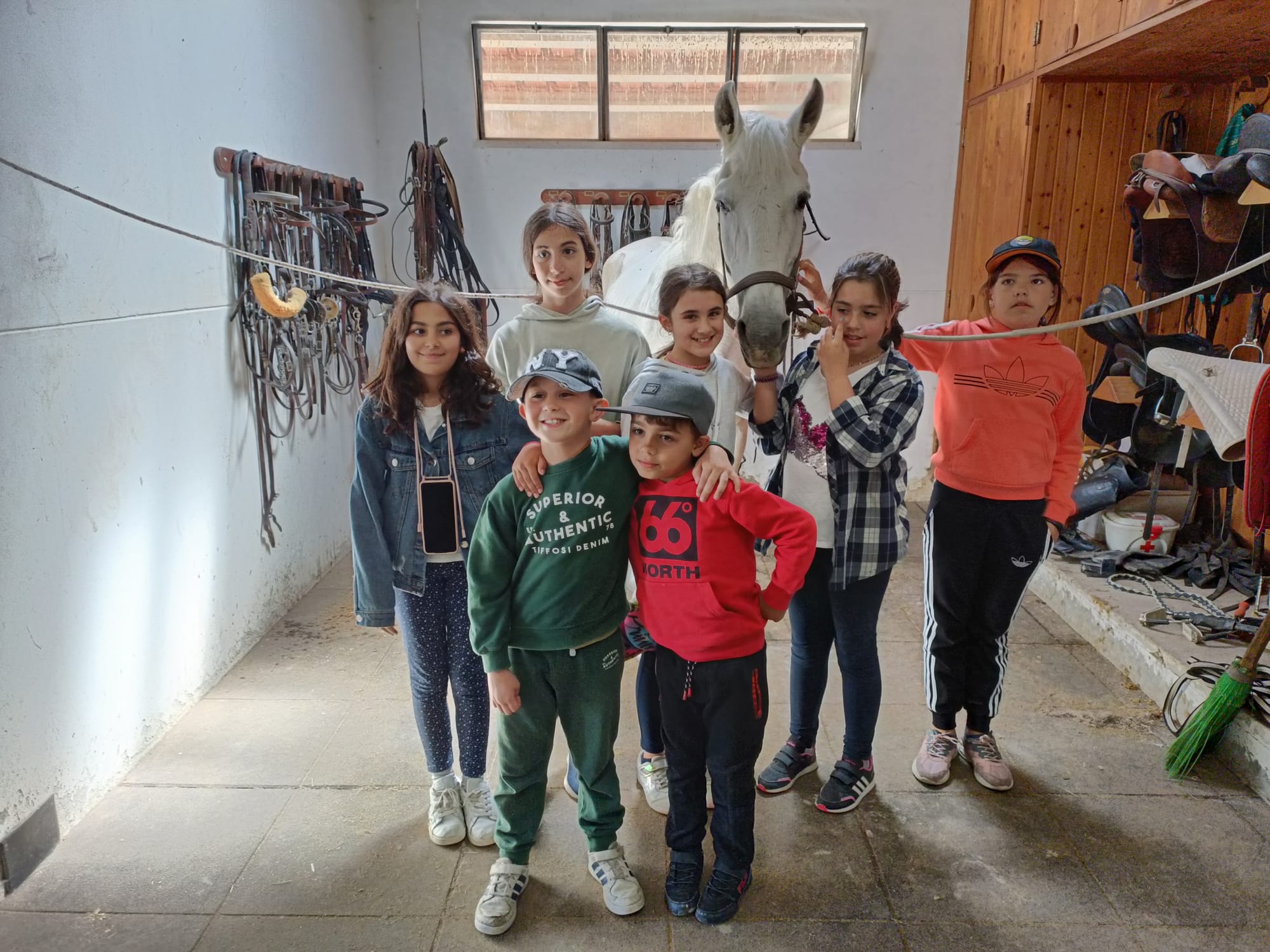 First Horse riding experience