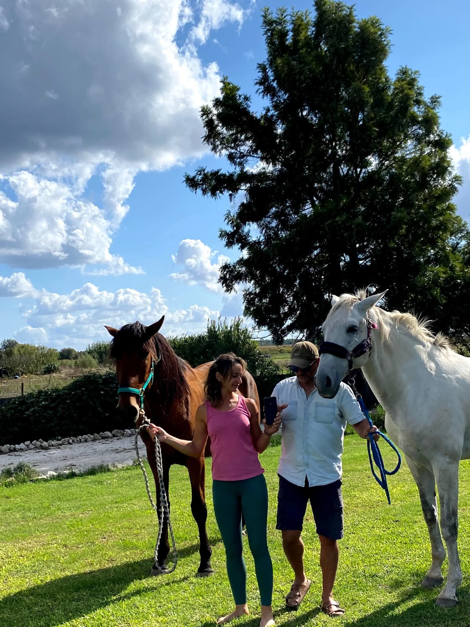 Relaxing Yoga with Horse