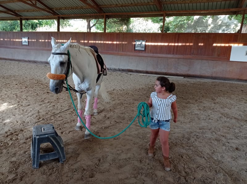 First Horse riding experience