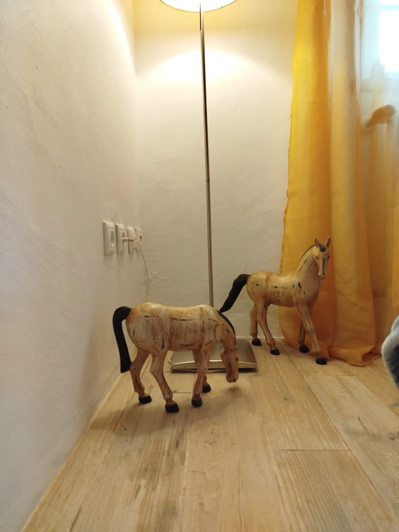 Private Single Room.