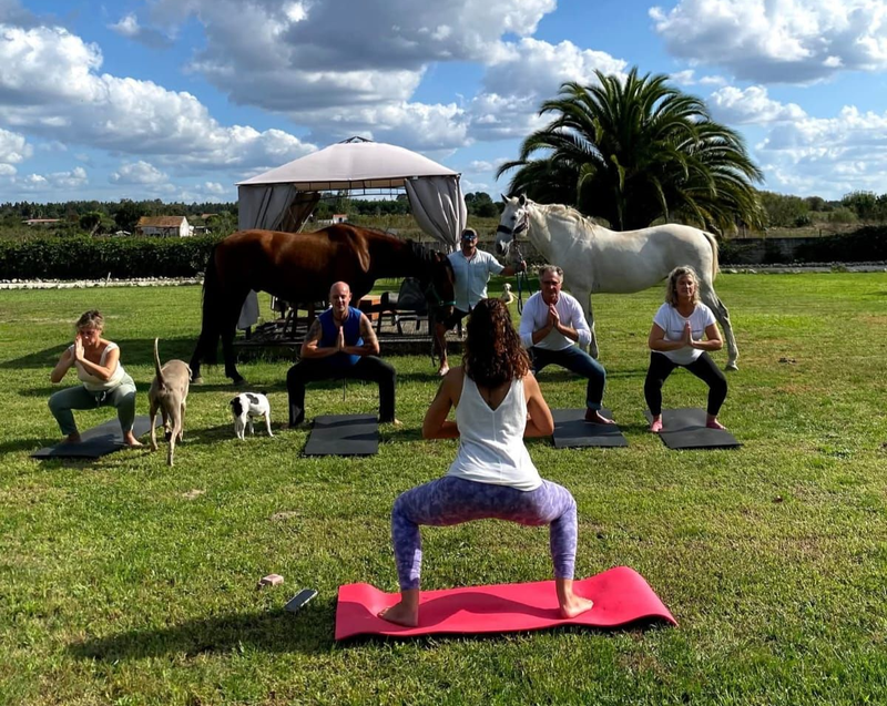 Relaxing Yoga with Horses