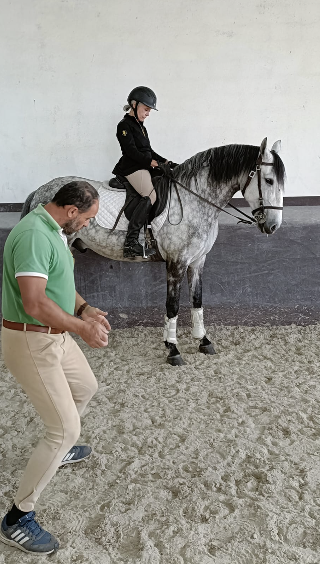 Lusitano Riding Holidays at Equiliberdade Farm