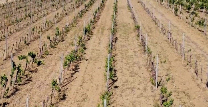 Per un'agricoltura efficiente e resiliente al cambiamento climatico.         Antonio e Chiara Dammacco         Parte prima