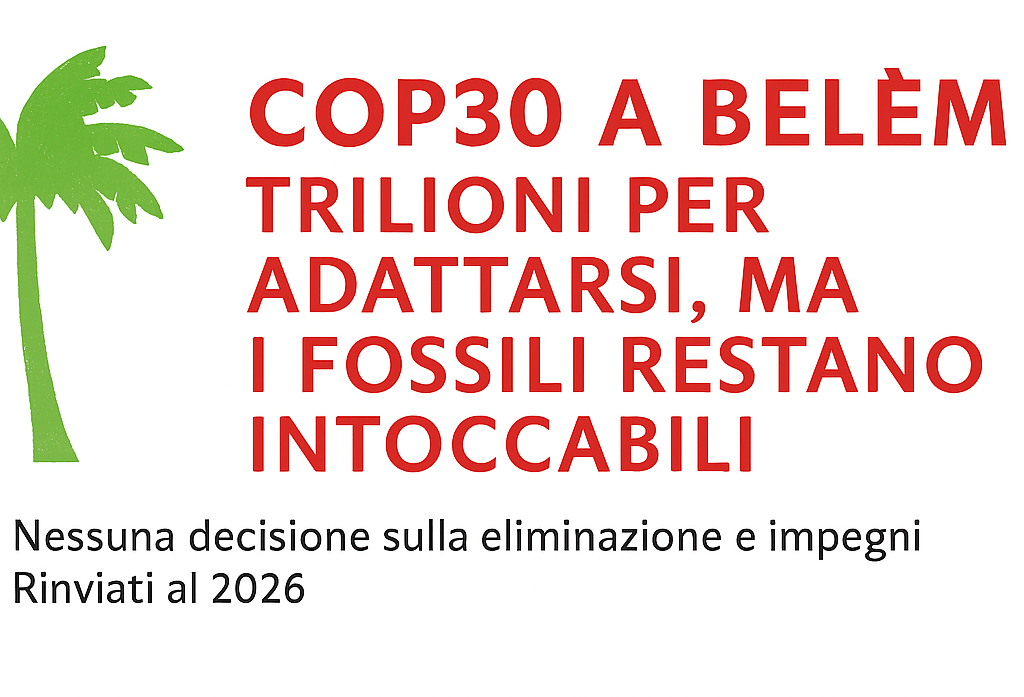 COP30 a Belém: promesse e omissioni