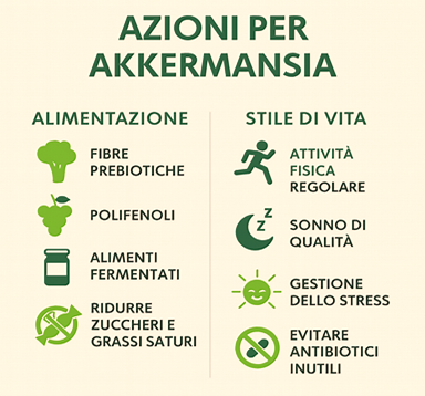 Akkermansia: la dieta che lo fa crescere