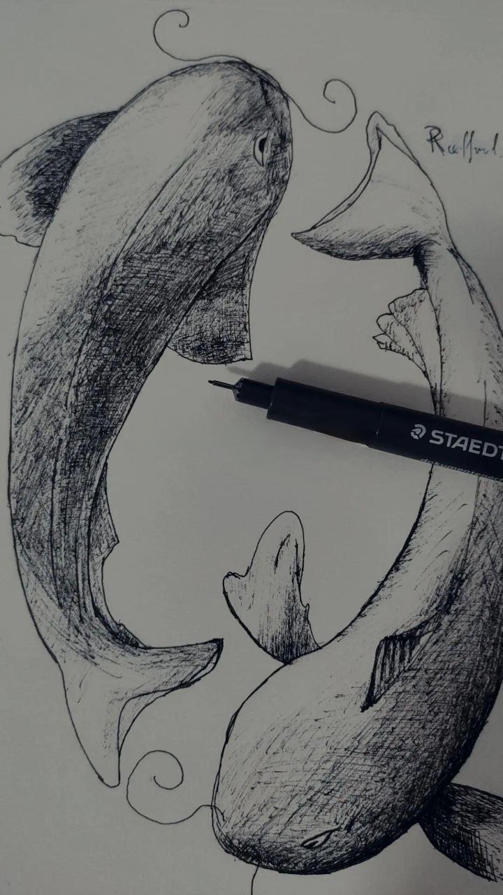 Draw