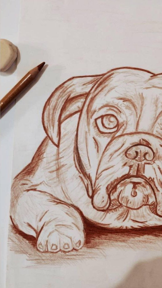 Draw