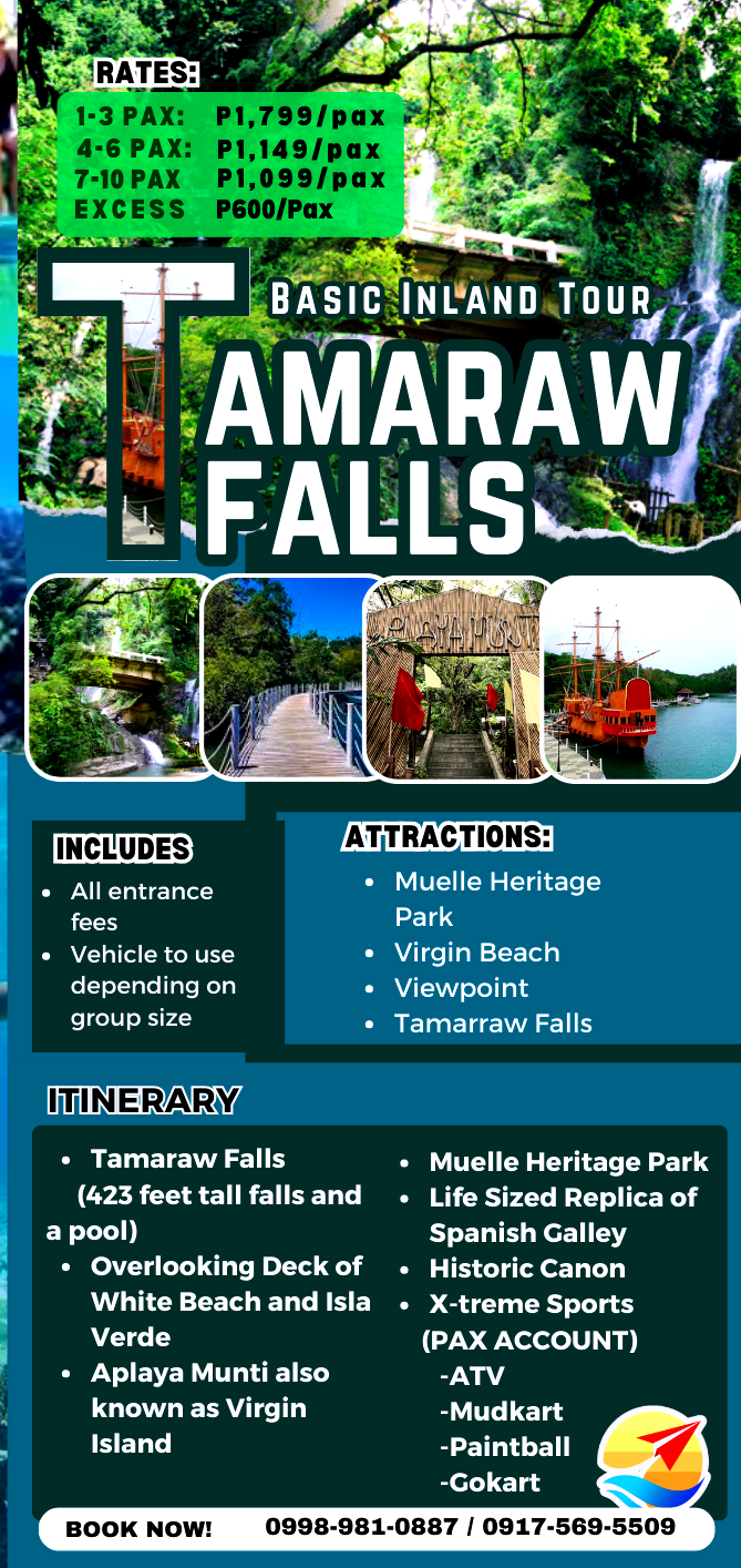 Tamaraw Falls with Basic In Land Tour