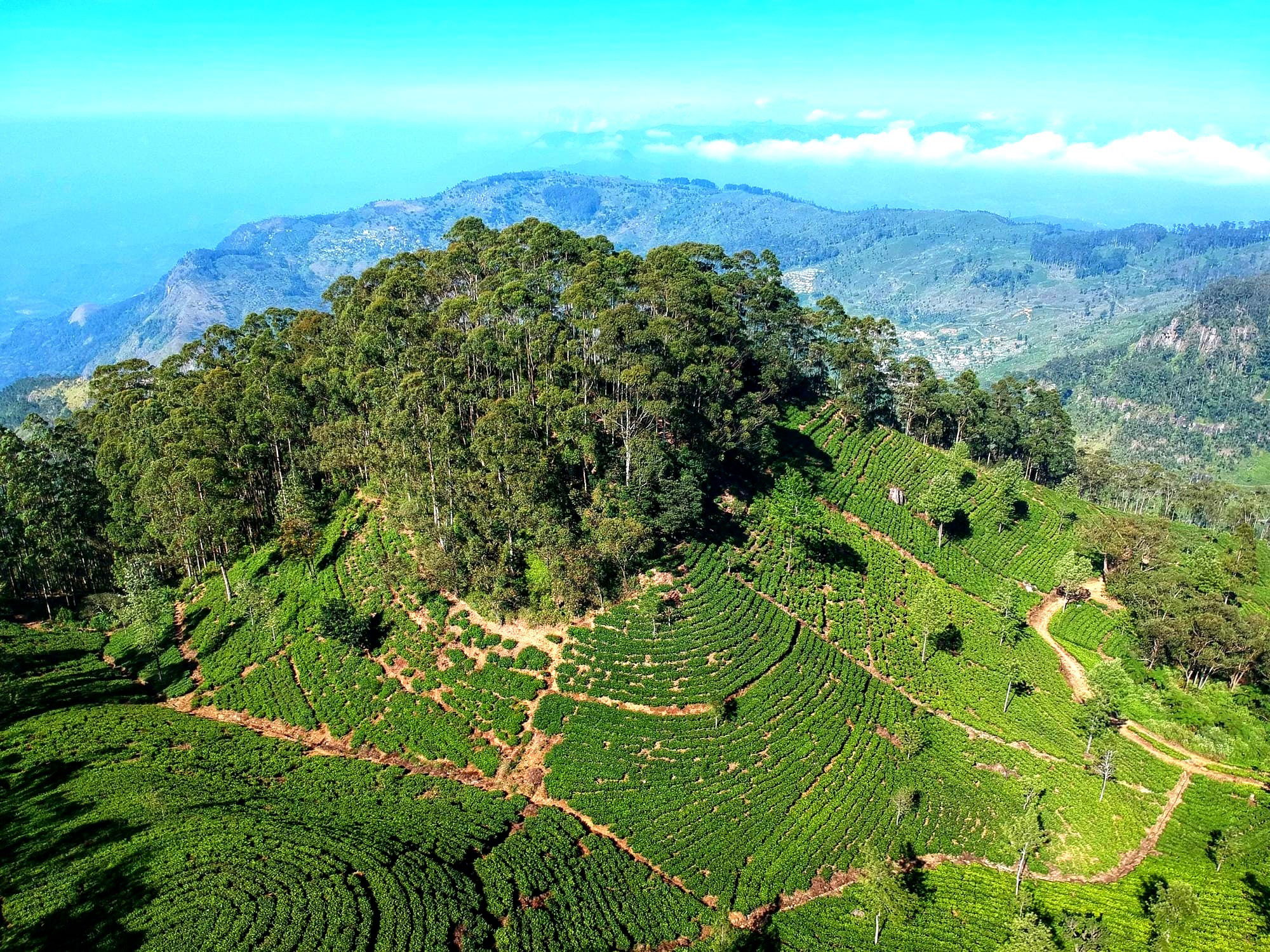 শ্রীলঙ্কা: প্রাকৃতিক সৌন্দর্যের দ্বীপ