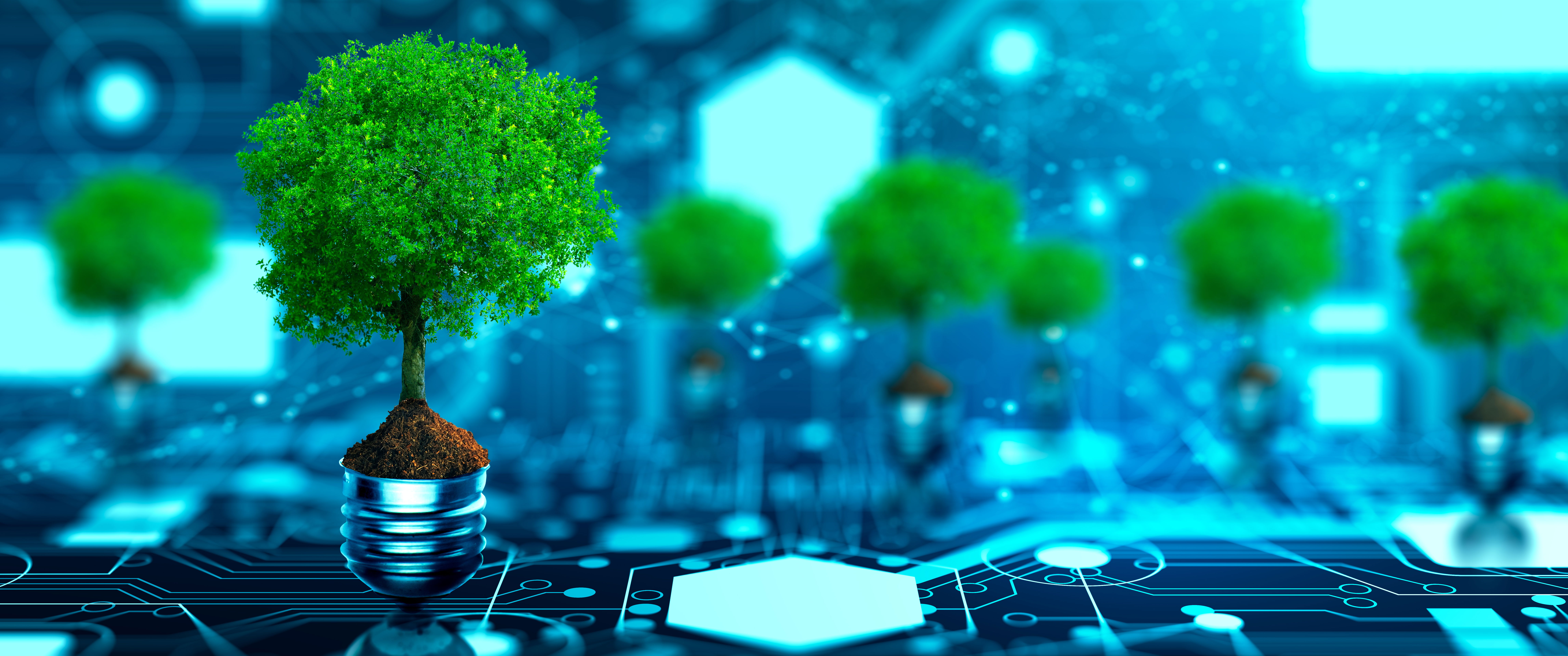 পরিবেশবান্ধব প্রযুক্তিতে বিনিয়োগের ক্ষেত্র