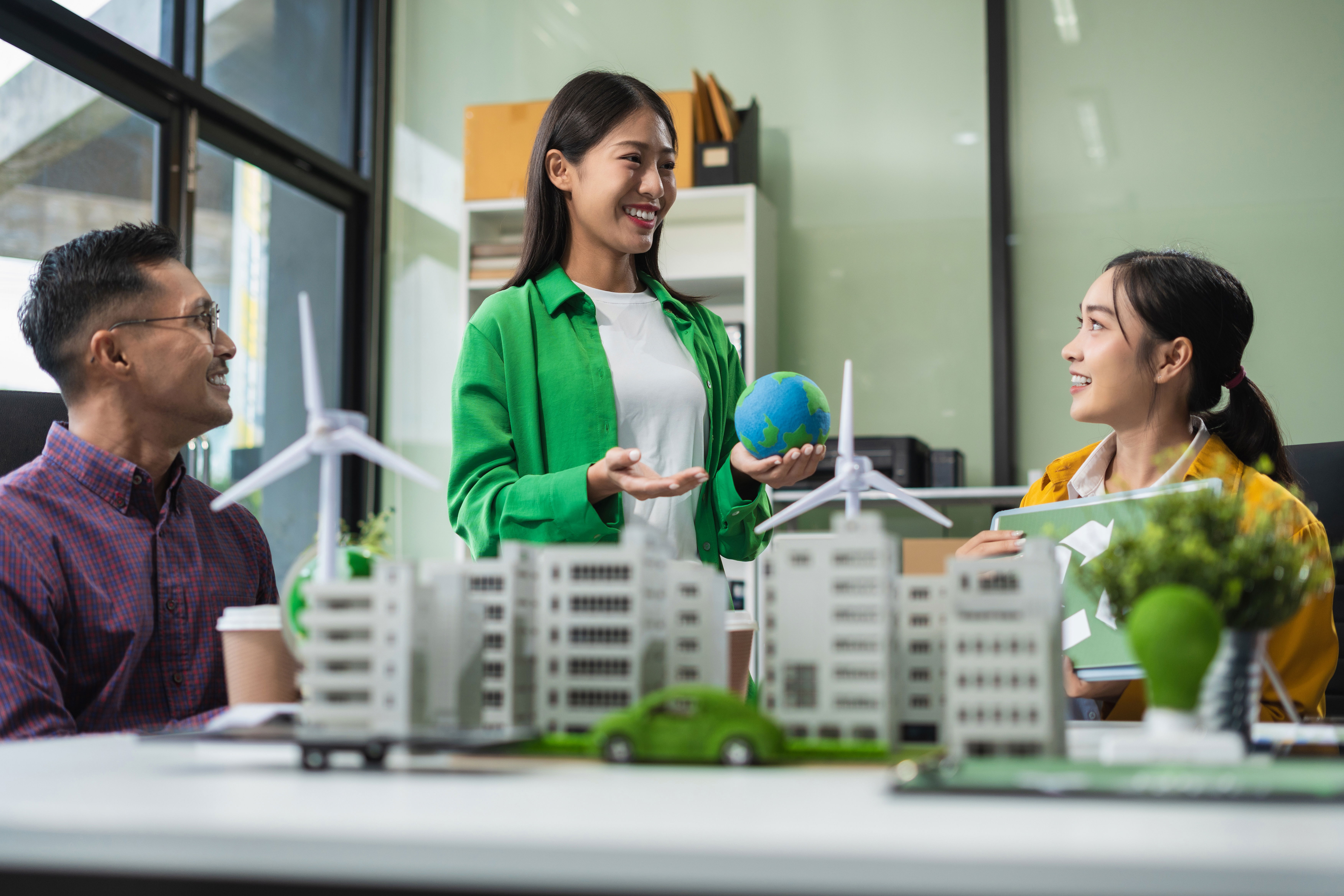 নবায়নযোগ্য শক্তিতে সরকারী ও এনজিও সহায়তা