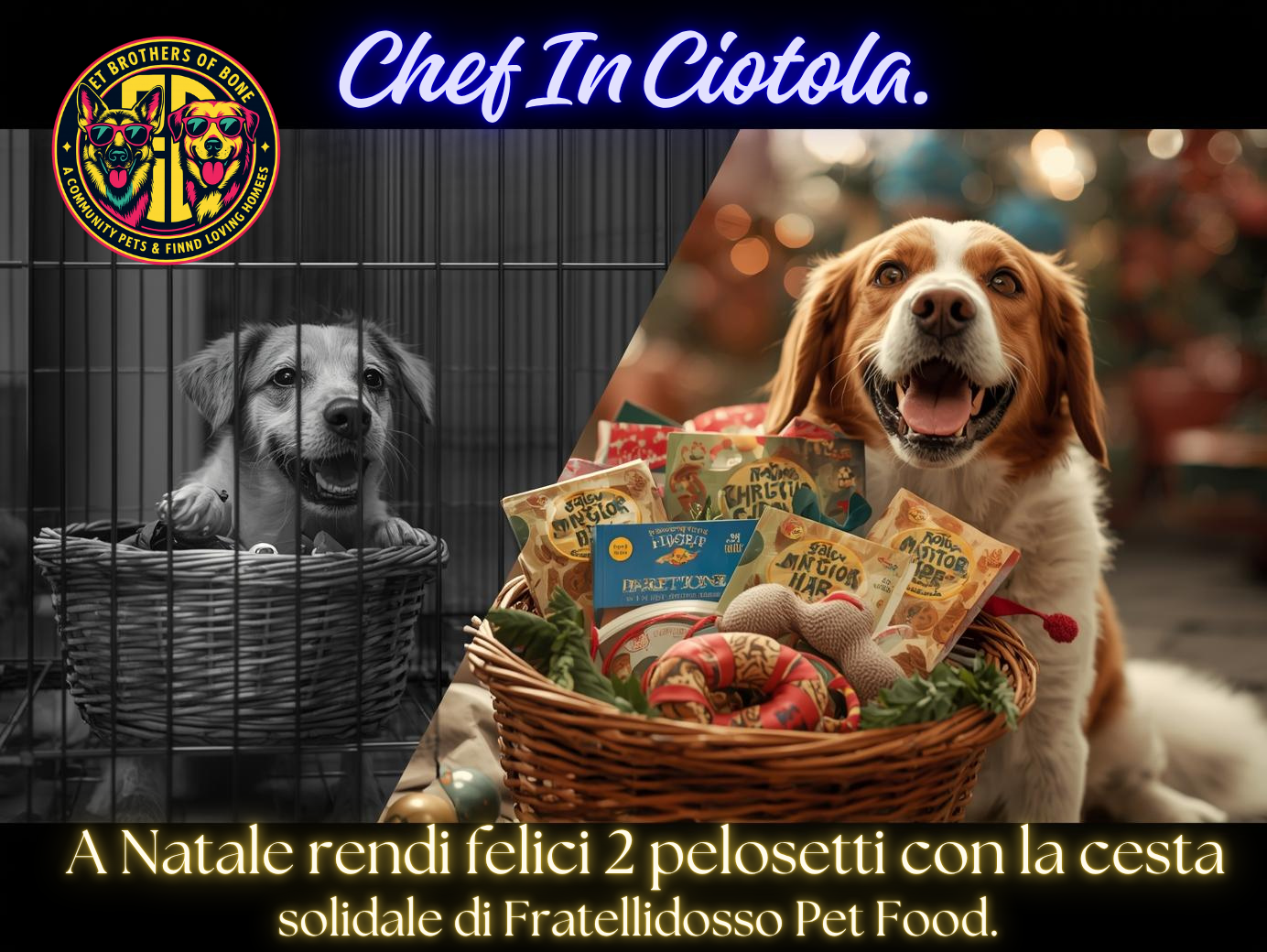 A Natale regala amore… e gusto! 🎄🐾