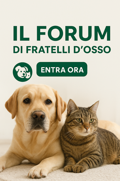 IL Forum del Branco