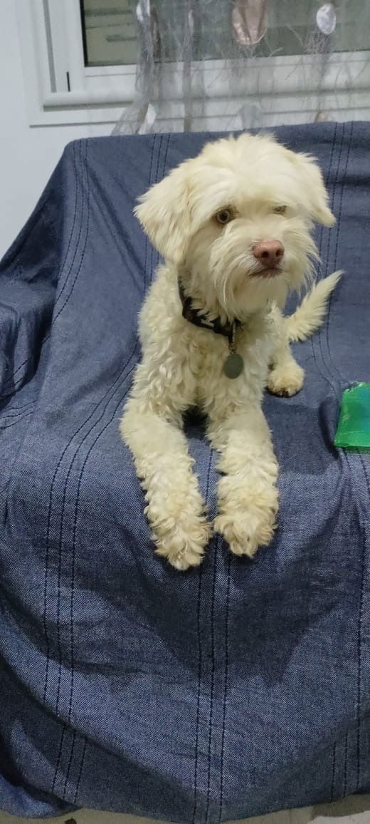 Ben