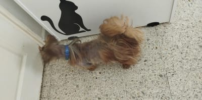 Neuzugang 02.02.2025