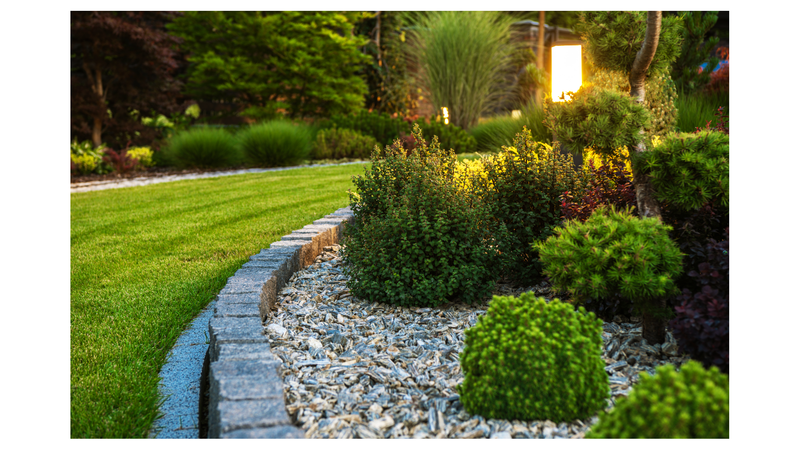 SERVICE YOU CAN TRUST