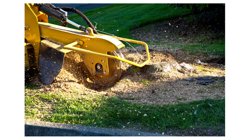 STUMP GRINDING