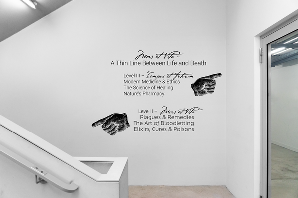 Museum of Medicine - Branding and Identity