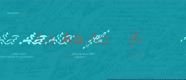 Museum of Medicine - Branding and Identity