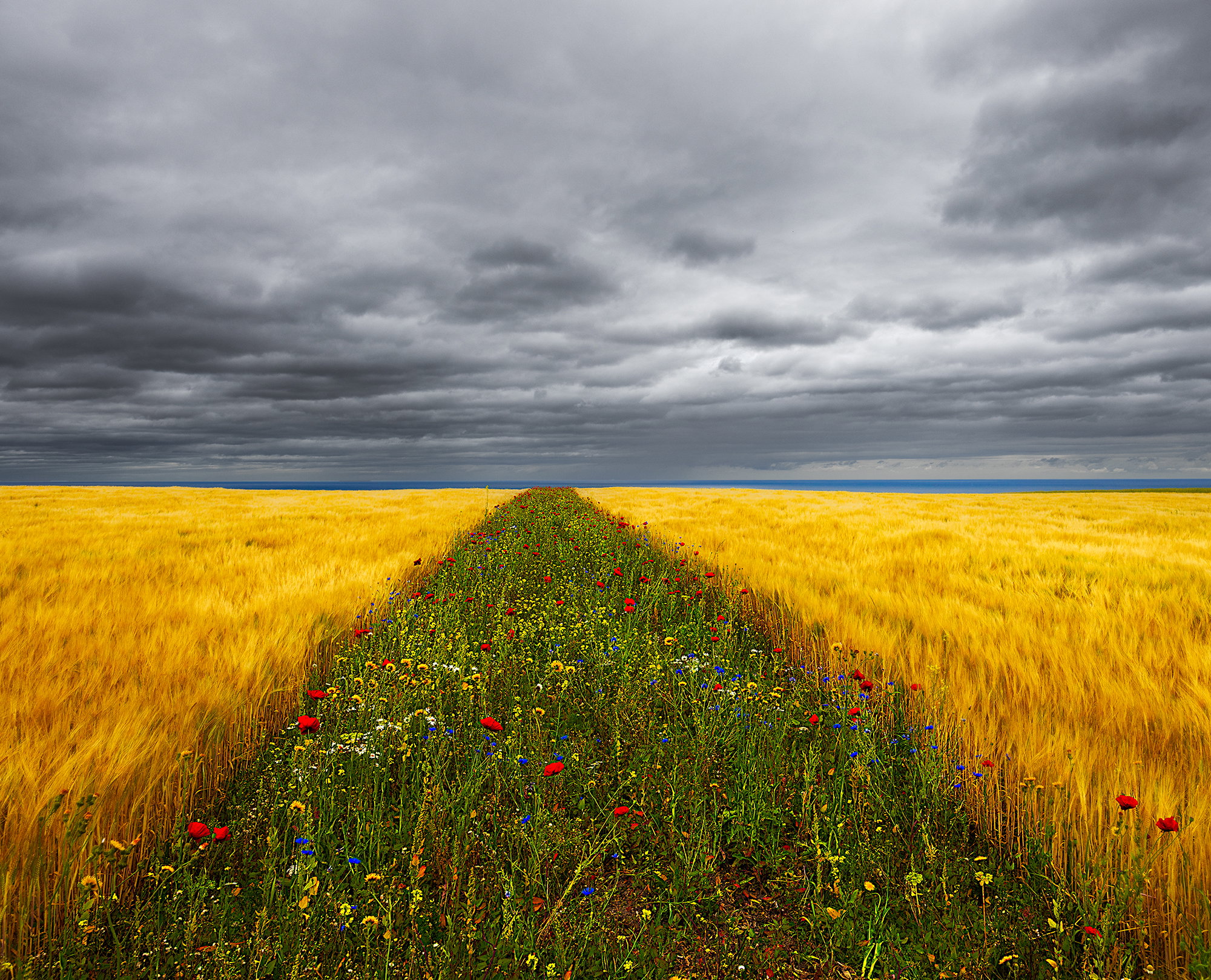 Flowers to the Sea