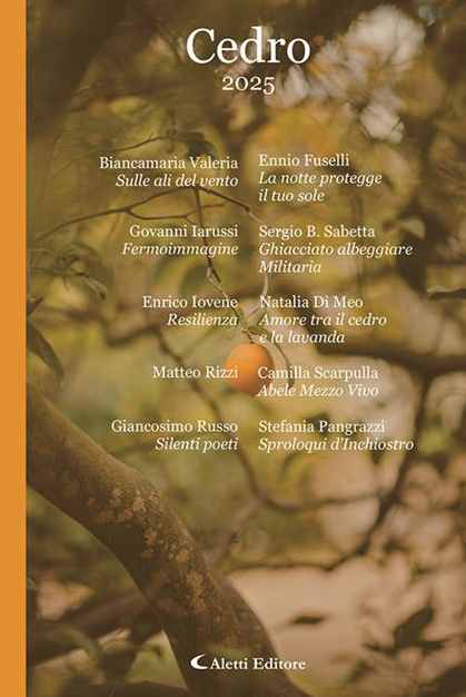 Silenti poeti - Raccolta poetica