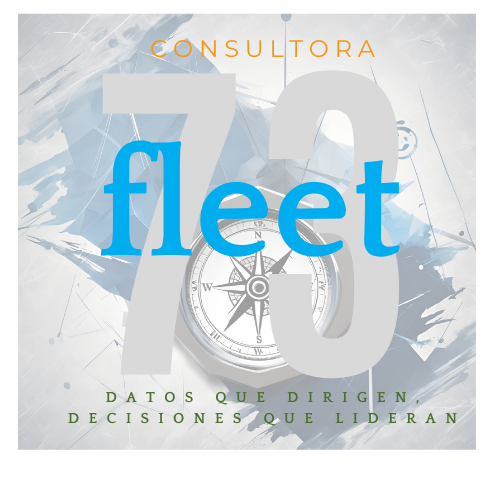 Fleet73- consultora