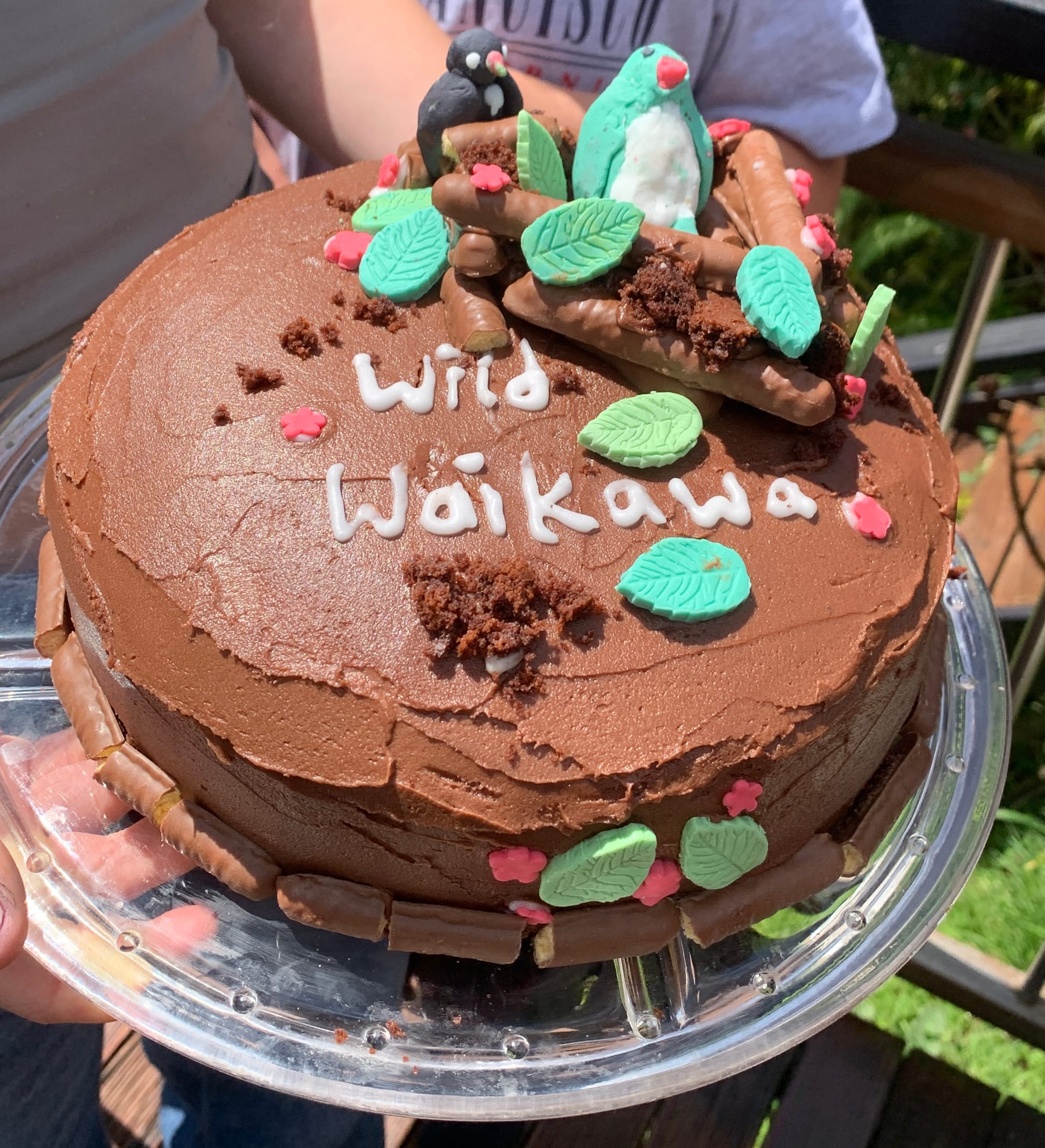 Nov 2024 - Wild Waikawa Cake