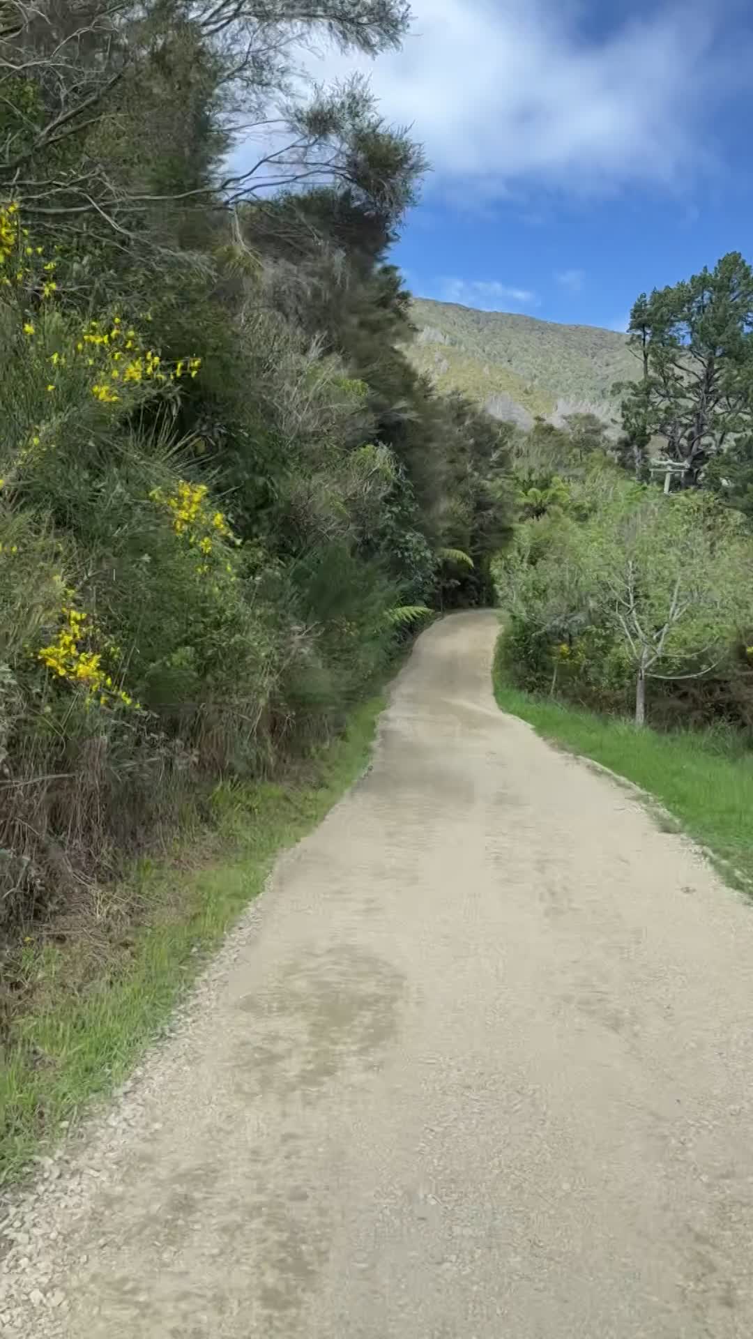 Thank you Elite Excavation Marlborough & Edridge Contracting