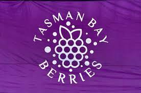 Tasman Bay Berries