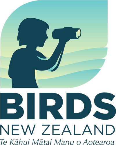 Birds New Zealand Marlborough