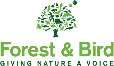 Forest & Bird