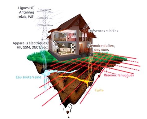 géobiologie en savoir plus