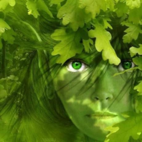 Je Différencie et  j'apprehende les esprits de la nature