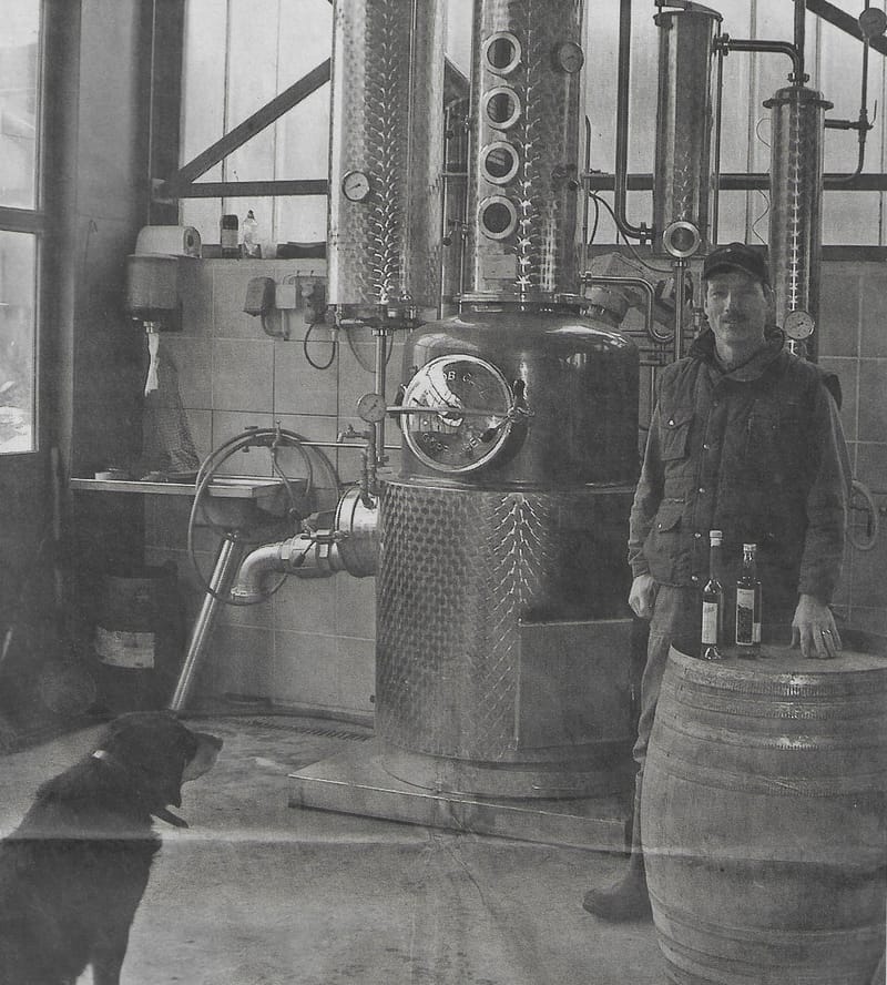 Die grüne Fee aus Mostindien