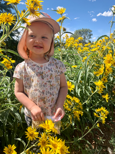 This Season's Compost image