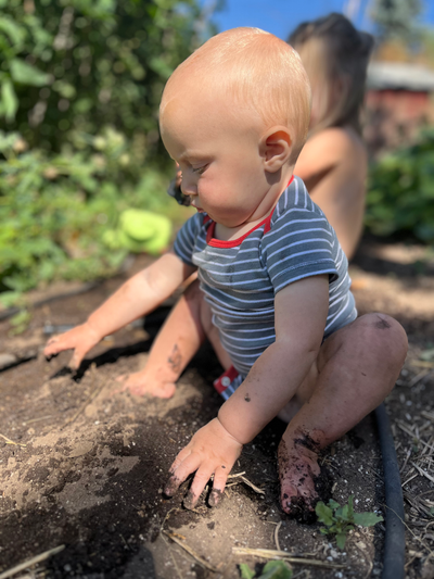 This Season's Compost image