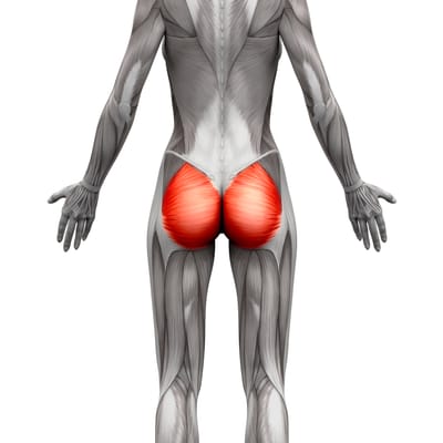 What Weak Glutes Mean For Your Health - More Than You Think !