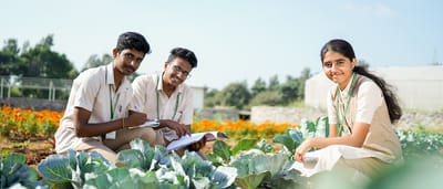 From BSc to MSc: Building a Successful Career in Agriculture