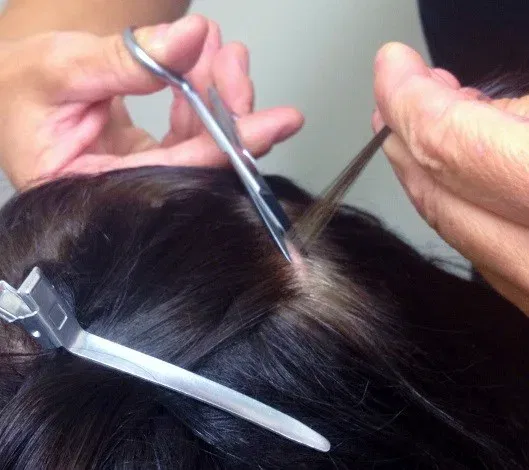 Alcohol ETG Hair Panel