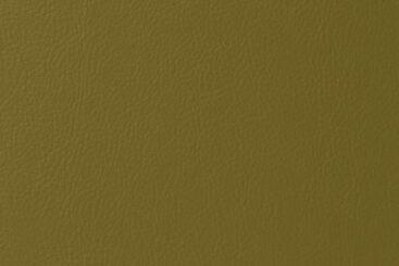 Standard Colors