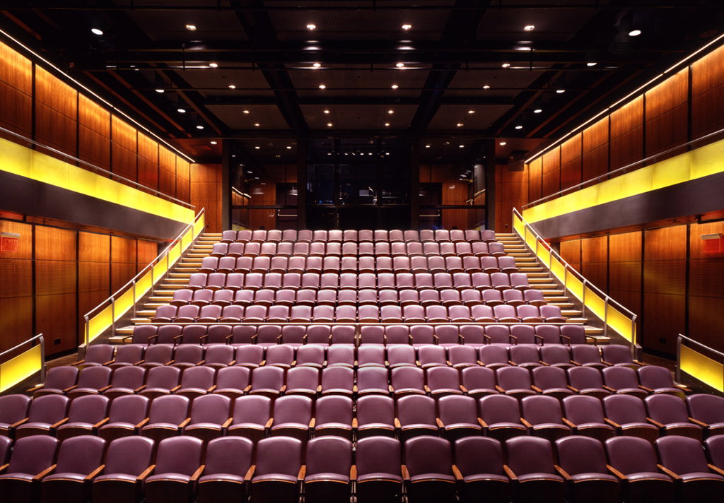 PRESIDENTE DEL AUDITORIO