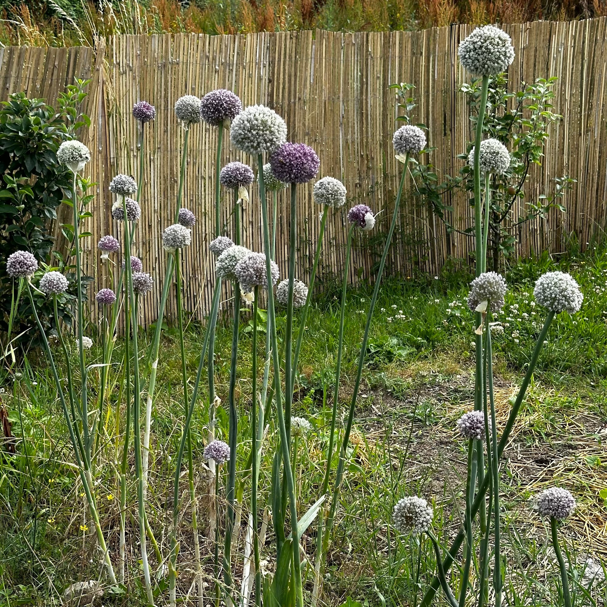 Le bilan d’une saison au Jardin